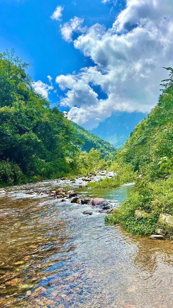 1754468534197041.jpeg 9b7ebe4f1421cea05d55ab906ef243cf.jpeg